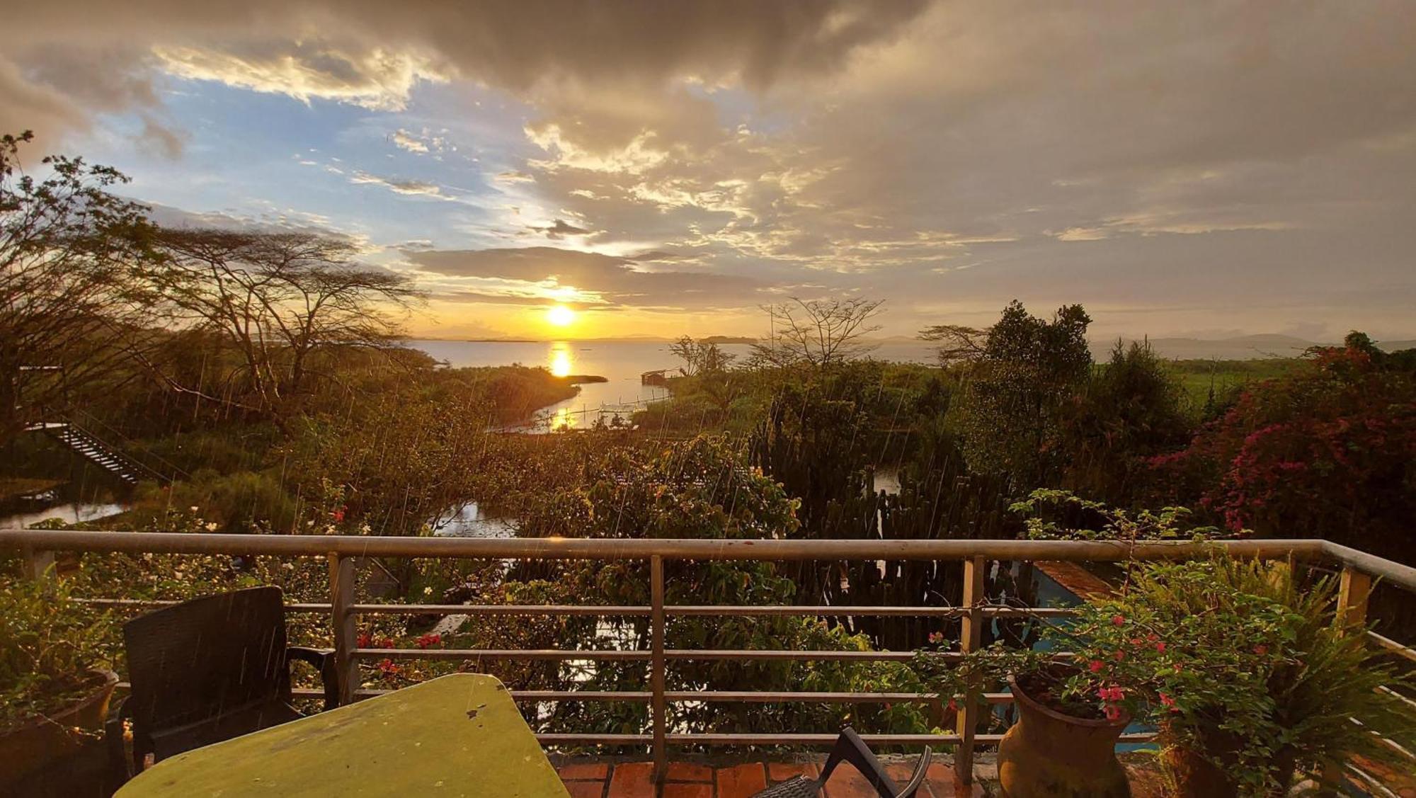 Yellow Haven Lodge Kampala Extérieur photo